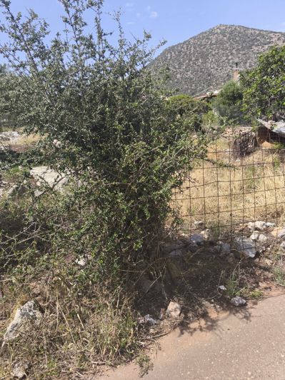 Image No.8-Terre à vendre à Agios Nikolaos