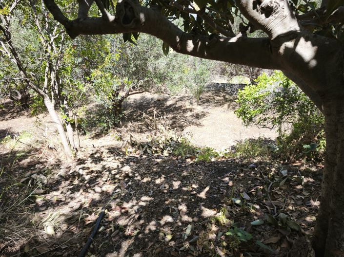 Image No.13-Maison à vendre à Kalo Chorio