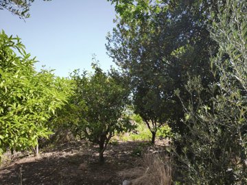 img20250521112211