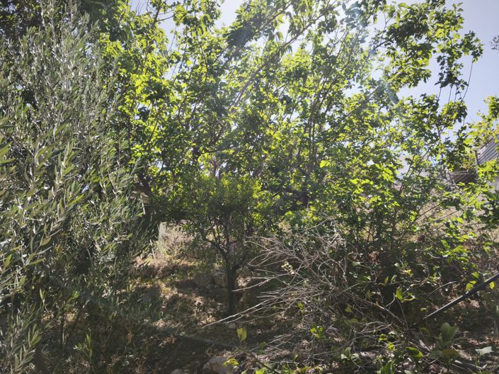 Image No.16-Maison à vendre à Kalo Chorio