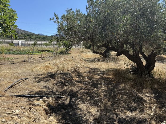 Image No.5-Propriété à vendre à Lasithi