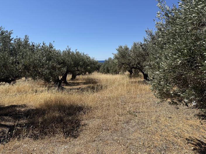 Image No.6-Propriété à vendre à Lasithi