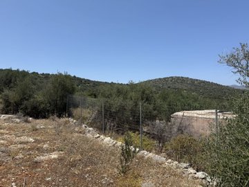 img0947
