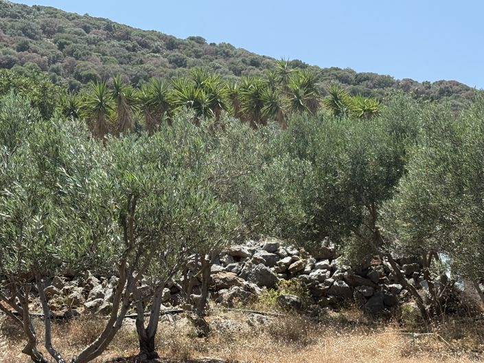 Image No.9-Land for sale