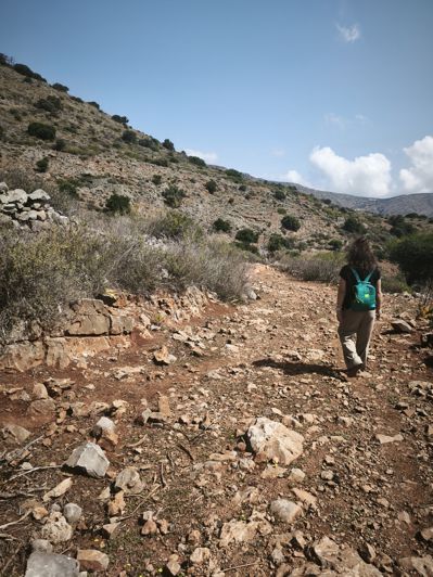 Image No.3-Land for sale