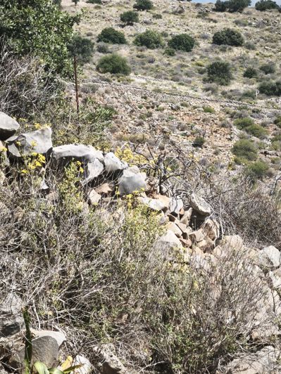 Image No.4-Land for sale