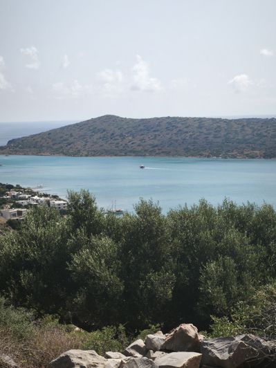 Image No.5-Land for sale