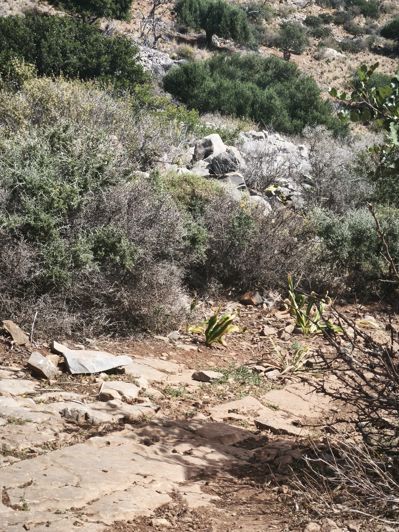 Image No.7-Land for sale