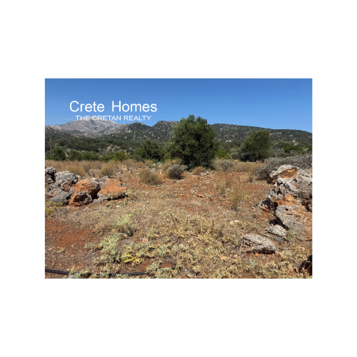 Image No.5-Land for sale