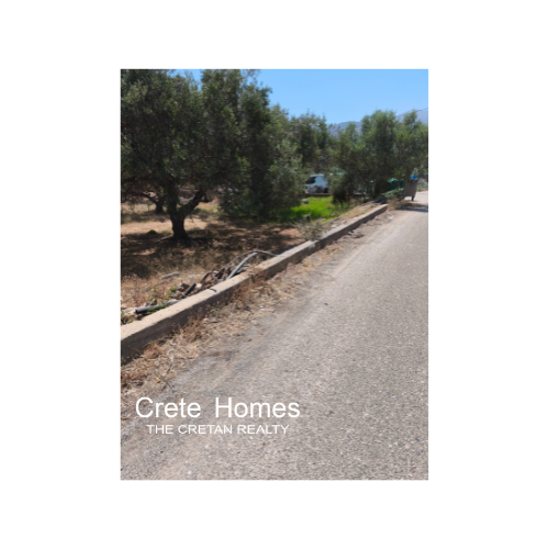 Image No.10-Land for sale