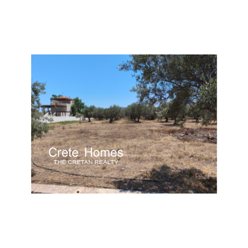 Image No.2-Land for sale