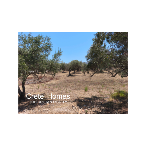 Image No.7-Land for sale