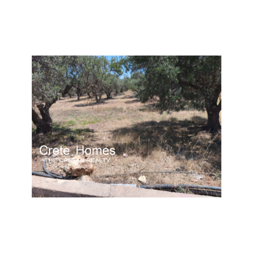 Image No.8-Land for sale