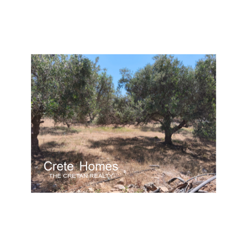 Image No.9-Land for sale