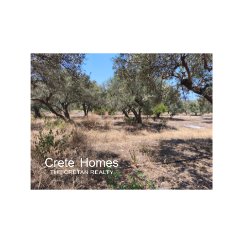 Image No.2-Land for sale