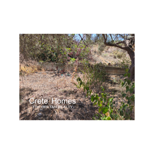 Image No.3-Land for sale