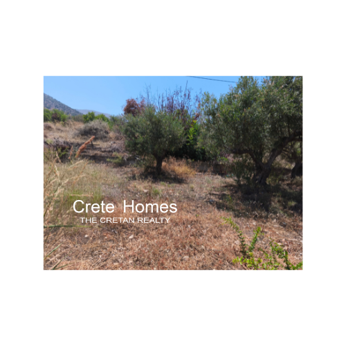 Image No.4-Land for sale