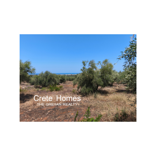 Image No.5-Land for sale