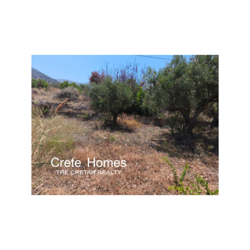 Image No.6-Land for sale