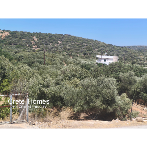 Image No.1-Land for sale