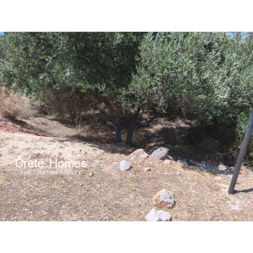 Image No.4-Land for sale