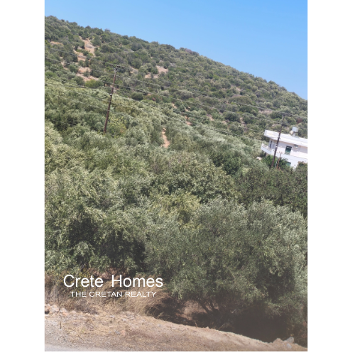 Image No.8-Land for sale