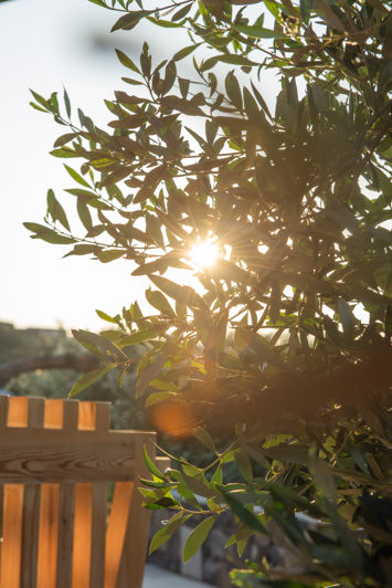 Image No.38-3 Bed Villa for sale