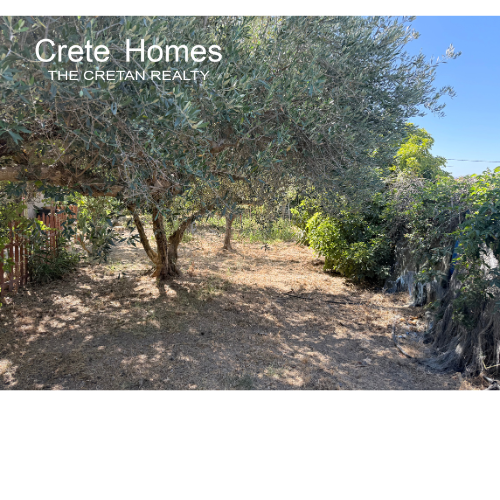 Image No.19-Maison de 1 chambre à vendre à Arkalochori