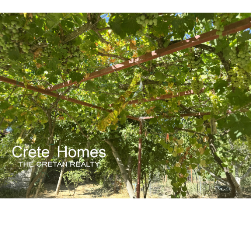 Image No.20-Maison de 1 chambre à vendre à Arkalochori