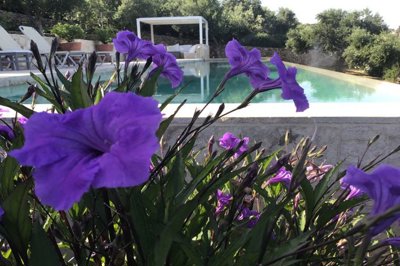 incredible-villa-for-sale-9