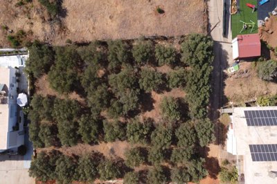 plot-for-sale-in-chrysi-akti-11
