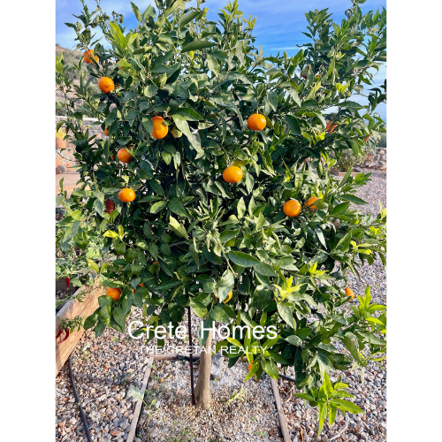 Image No.75-4 Bed Villa for sale