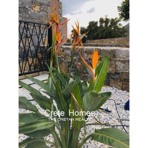 Image No.76-4 Bed Villa for sale