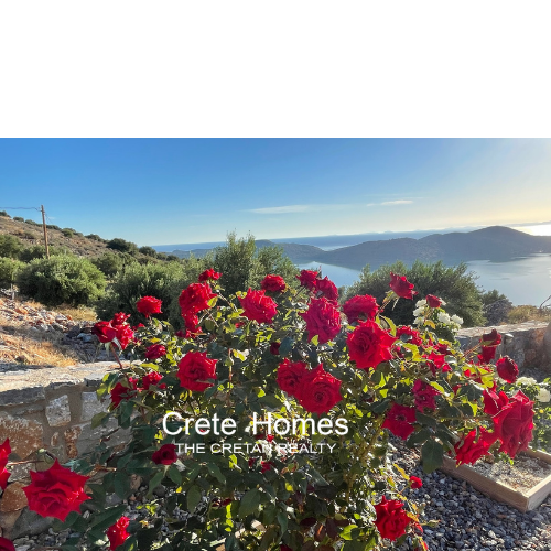 Image No.77-4 Bed Villa for sale