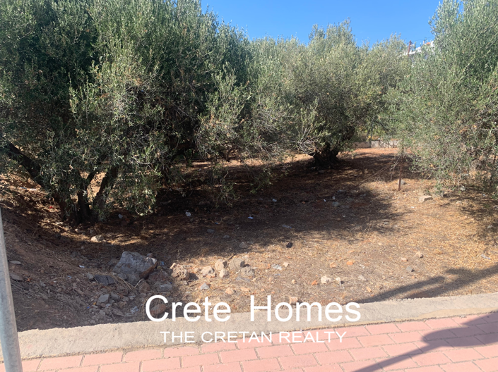 Image No.1-Terre à vendre à Agios Nikolaos