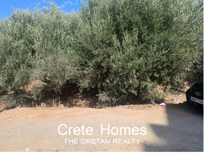 Image No.3-Terre à vendre à Agios Nikolaos