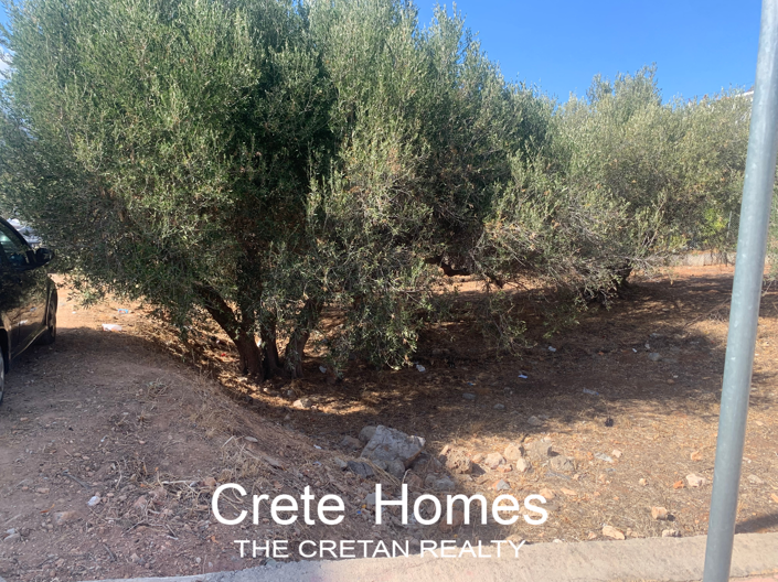 Image No.5-Terre à vendre à Agios Nikolaos