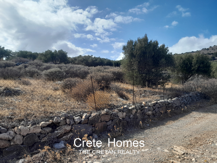 Image No.5-Terre à vendre à Epano Pines