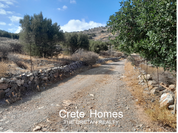 Image No.6-Terre à vendre à Epano Pines