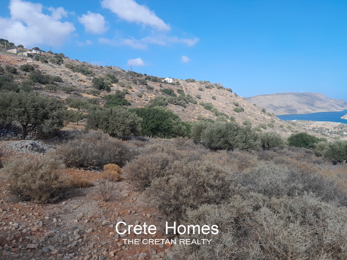 Image No.8-Terre à vendre à Epano Pines