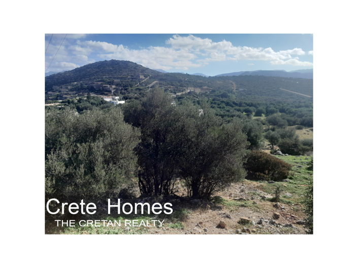 Image No.12-Terre à vendre à Agios Nikolaos
