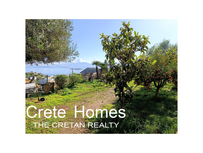 Image No.7-7 Bed Villa for sale