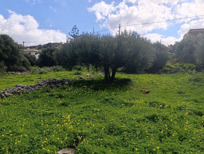 Image No.3-Terre à vendre à Kato Pine