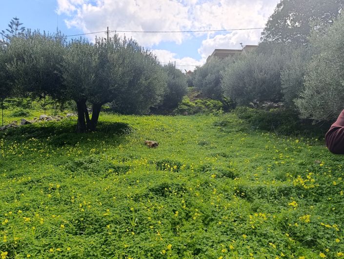 Image No.5-Terre à vendre à Kato Pine