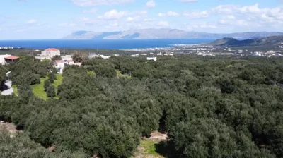 plot-for-sale-in-piperiana-5