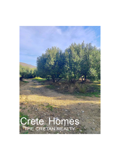 Image No.6-Land for sale