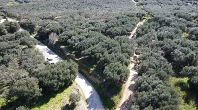 plot-for-sale-in-piperiana-11