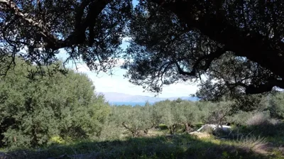 plot-for-sale-in-piperiana-18