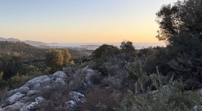 plmar9-photo-1-830x460-1