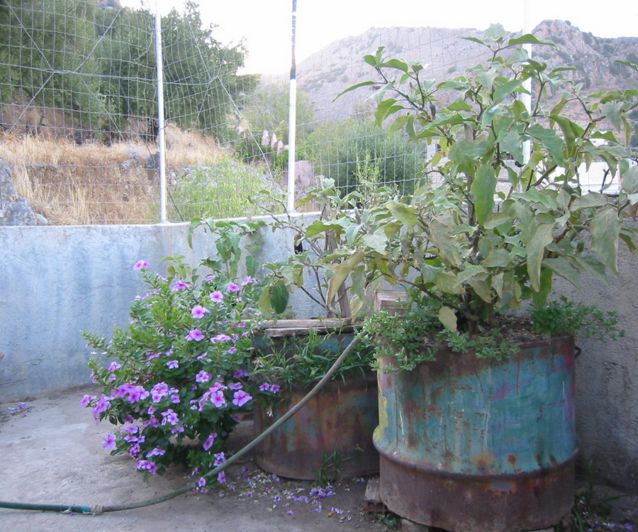 Image No.4-1 Bed House for sale